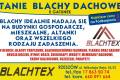 Blacha II gatunek na Stodoe