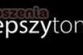 Tonery do drukarek 